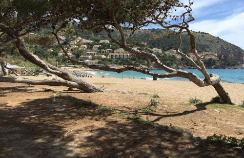 Canyamel Beach - Foto 38