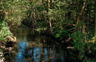 Creekside Family Dreamland - Hot Tub, Firepit, Arcade - Foto 64