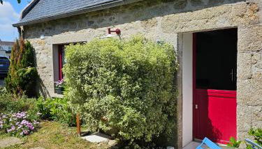 PENTY SERVANE - Foto 4