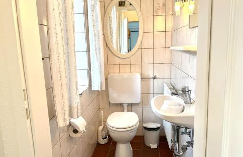 Roter Apfel - Foto 4