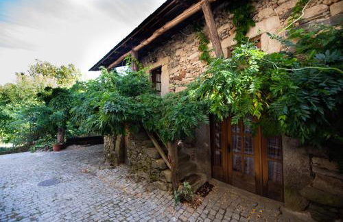 A Lagosta Perdida - Foto 47