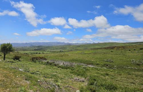 Cantinho de Tourêm - Photo 29