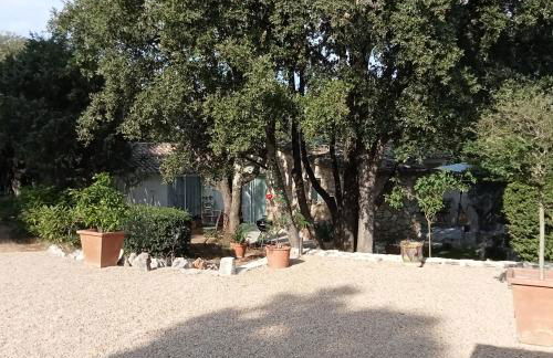 Sous les chênes - Photo 39