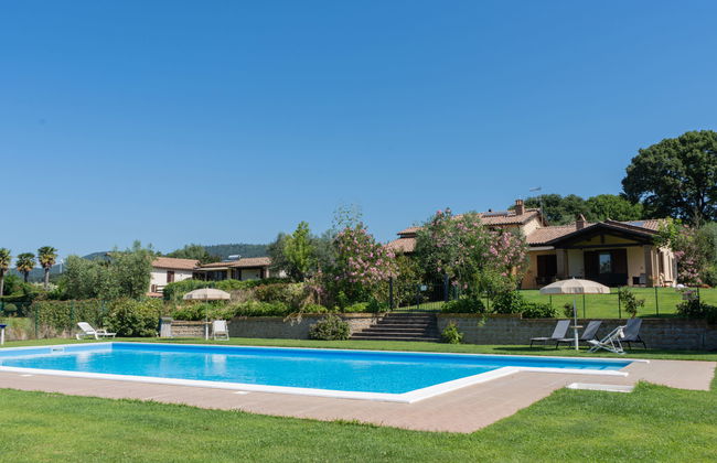 Rosa Bacara - Foto 27