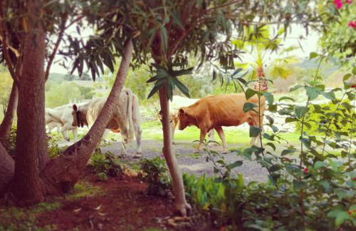 Le Case Di S. Andrea - Foto 40