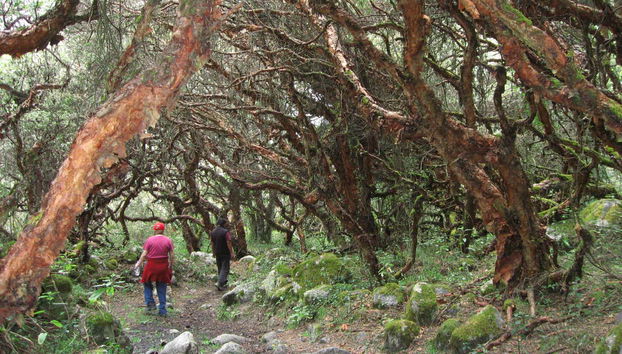 Huascaran National Park Day Trip - Foto 5