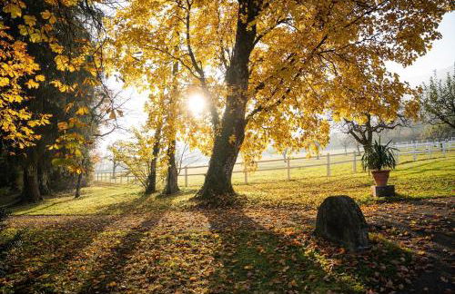 Chateau d 'Echenevex, Geneva - Foto 16