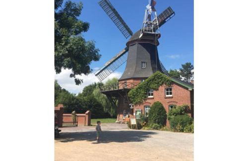 Strandnelke Modern retreat - Foto 2