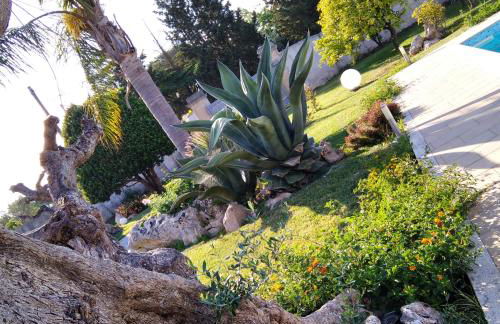 Villa Federico - Foto 14