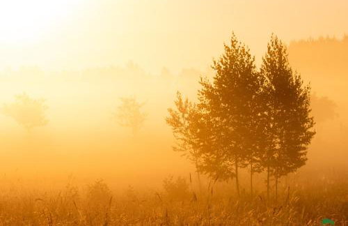TATANKA Dom w Puszczy & SPA na Polanie - Foto 36