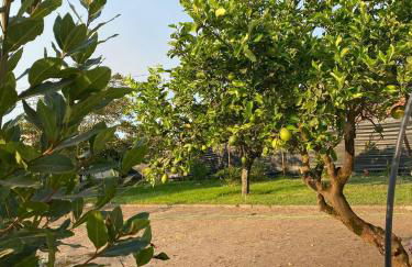 Moita Cottage - Foto 41