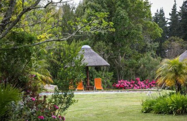 Coral Tree Cottages - Foto 23