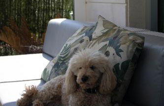 Villa Playa San Juan - Foto 23