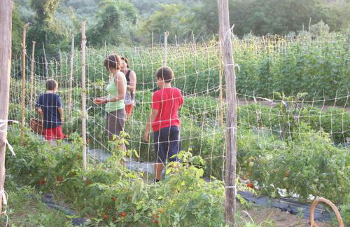 Farm Retreat in Sunny Calabria - Foto 19