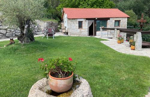 Da man da Moura - Foto 1