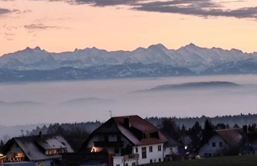 Blackforest Perla - Foto 21