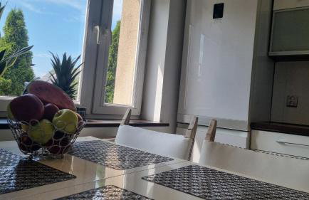 Biały Apartament - Foto 9