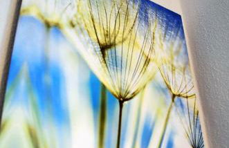 Lehmgefühl, Design Vier, La Petite Maison - Foto 55