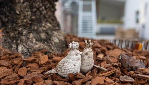 Landglück 1 - Foto 2