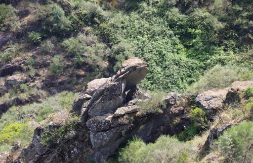 Quinta da Riba Má - Foto 22