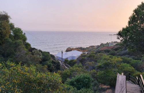 Apart T2 praia dos bicos - Photo 9