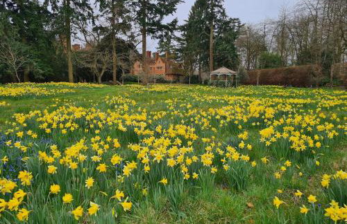 Spacious Country House Apartment - Foto 17