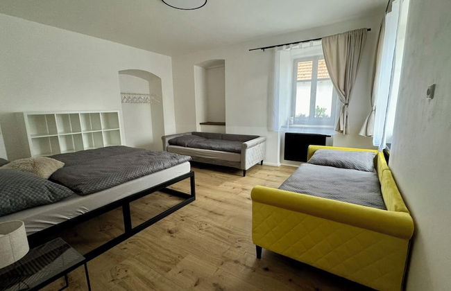 Family Apartments Černice - Foto 15