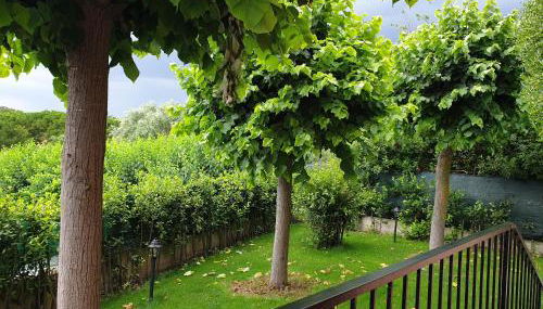 Ai tre tigli con giardino privato - Photo 5, Garden, Garden view