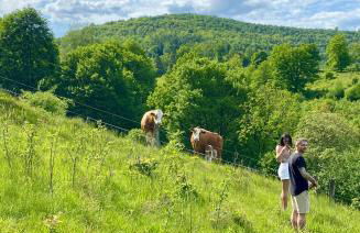 Ferienwohnung GARTENBLICK im HAUS GERLACH - Foto 7