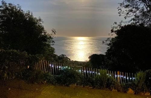 Relaxing private entrance ensuite room with stunning sea view and swimspa - Photo 29