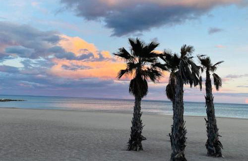 Casas349h Alicante Centre First Floor - Photo 24