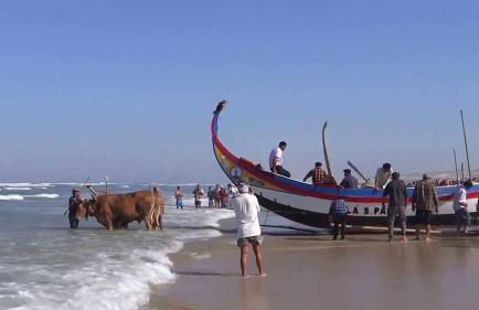 Casa dos Amigos - A luxury home in the nature - Foto 20