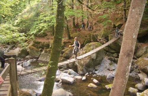 Seidl's Ilztalfewo - Foto 11