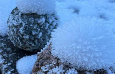 Gästehaus Absbachtal - Foto 24