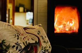 Czaplowisko - domki z sauną na Kaszubach - Foto 29