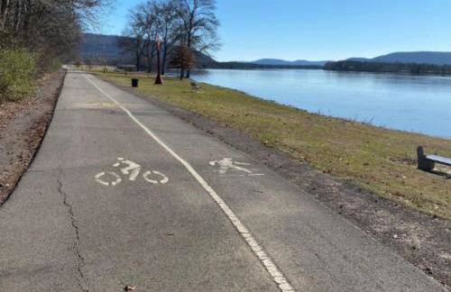 *The Governor's Mansion* Close to Downtown - Photo 61