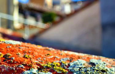 Casa del Hortelano - Foto 23