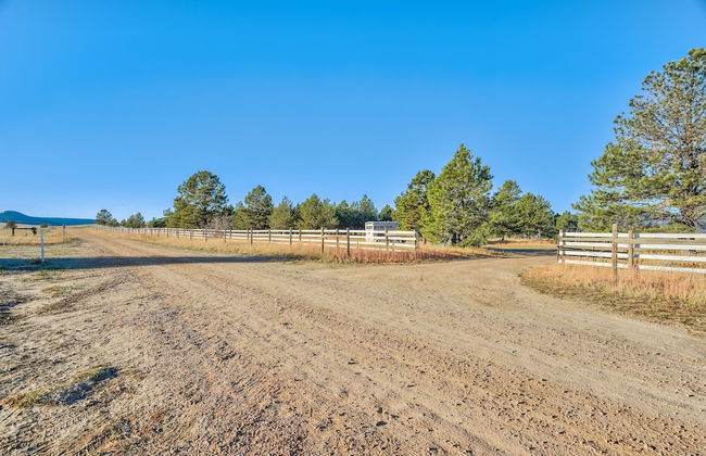 Tree Deer Blind - Foto 20