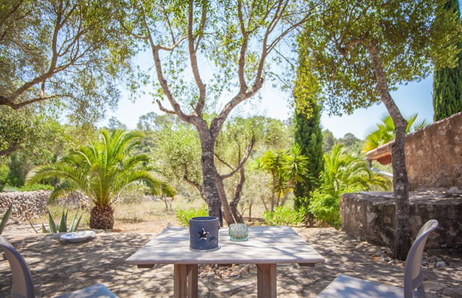 Can Pina - Adults Only Eco Groc - Photo 15