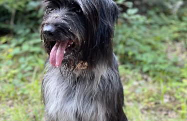 Ferienwohnungen auf einem ehemaligen Bauernhof - Foto 32