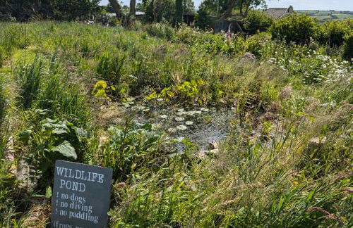 Dreckly cabin - Lydcott Glamping with Cornish sea views - Foto 20