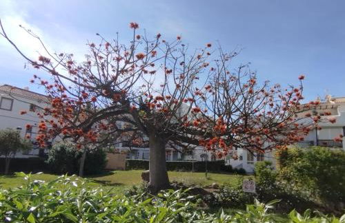 Apartamento Amanecer Laguna Beach Torrox costa - Photo 39