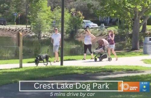 NEW Beach Cozy Bungalow 2B Mins-beach&downtown - Foto 46