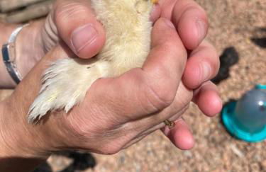 Mini-villa 1 MER - Foto 53