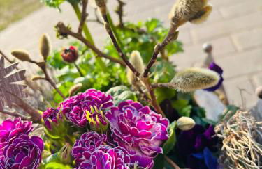 Ferienhaus Im Grünen - Foto 8