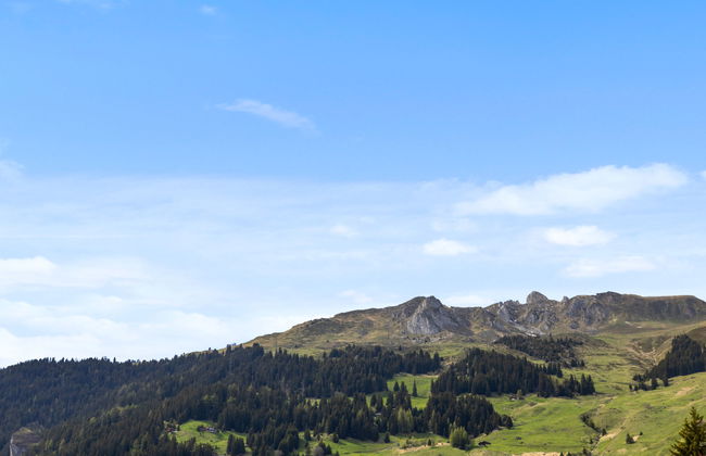 Mogador 13 - Foto 30