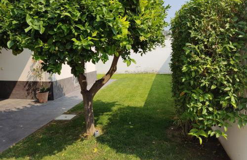 Chalet con piscina - Foto 30