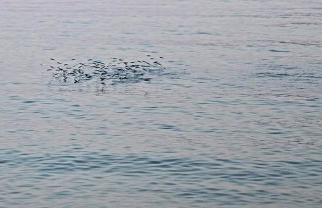 Le Due Sorelle - Photo 25