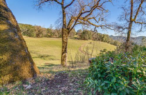 Hot Tub and Fire Pit Secluded Dos Rios Escape! - Foto 29