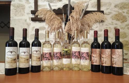 Traditional Creta stone house in serenity village - Foto 3